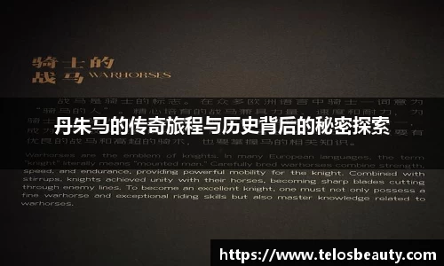 丹朱马的传奇旅程与历史背后的秘密探索