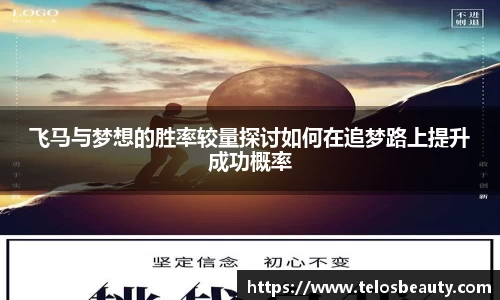 飞马与梦想的胜率较量探讨如何在追梦路上提升成功概率